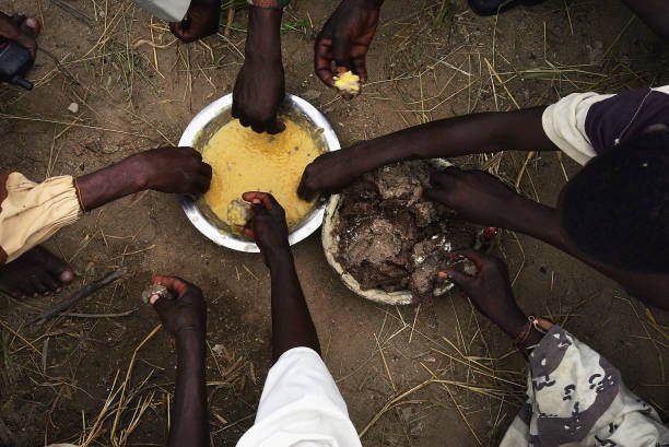 Widespread Starvation in War-Torn Sudan, WHO Chief Urges Global Attention